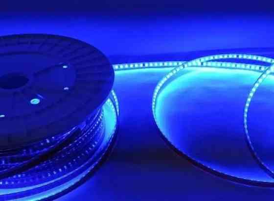 Стрічка LED 12/24/220V від Dvorik Led Київ