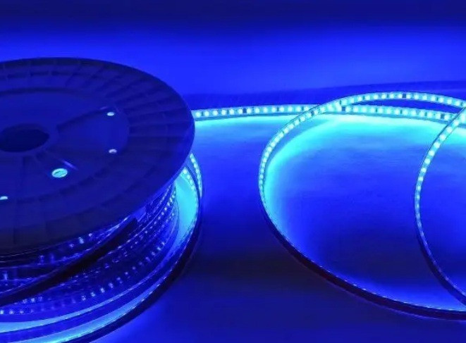 Стрічка LED 12/24/220V від Dvorik Led Київ - зображення 5