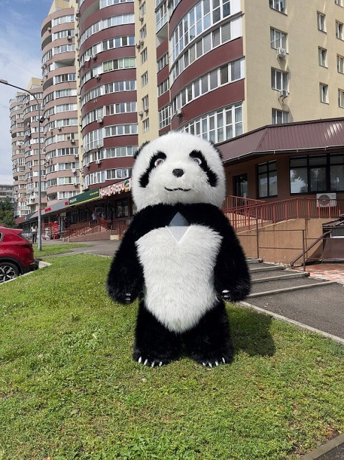Костюм ведмедя надувний Панда Киев - изображение 8