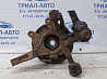 Цапфа задняя левая со ступицей Hyundai Tucson JM 2.0 DIESEL D4EA 2004 (б/у) Киев