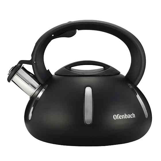 Чайник зі свистком Ofenbach KM-100303 2 л Киев