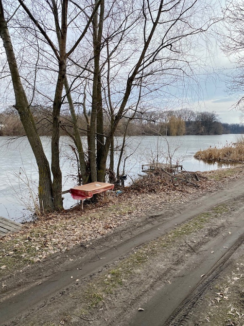 Продам земельну ділянку сел. Шаровка Богодухівський район Богодухов - изображение 8