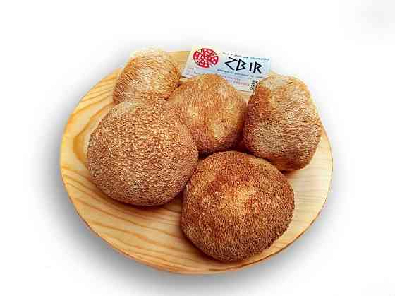 Їжовик Гребінчастий (Hericium erinaceus), цілі плоди Полтава