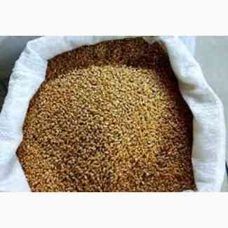 Куплю зерновідходи, некондицію з самовивозом. Кропивницкий