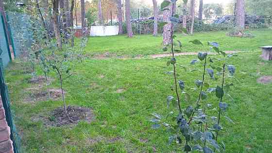 продажа 4-к таунхаус Киев, Дарницкий, 152000 $ Киев