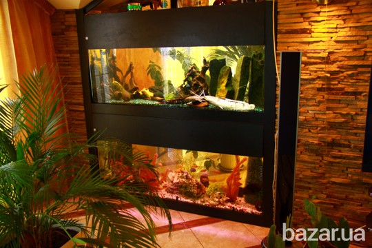 Продажа Развлекательно-Оздоровительный Комплекс, СПА-Салон (Львовская Львов - изображение 3