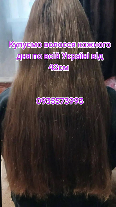 Купуємо волосся кожного дня по всій Україні від 42см -0935573993 Дніпро - зображення 1