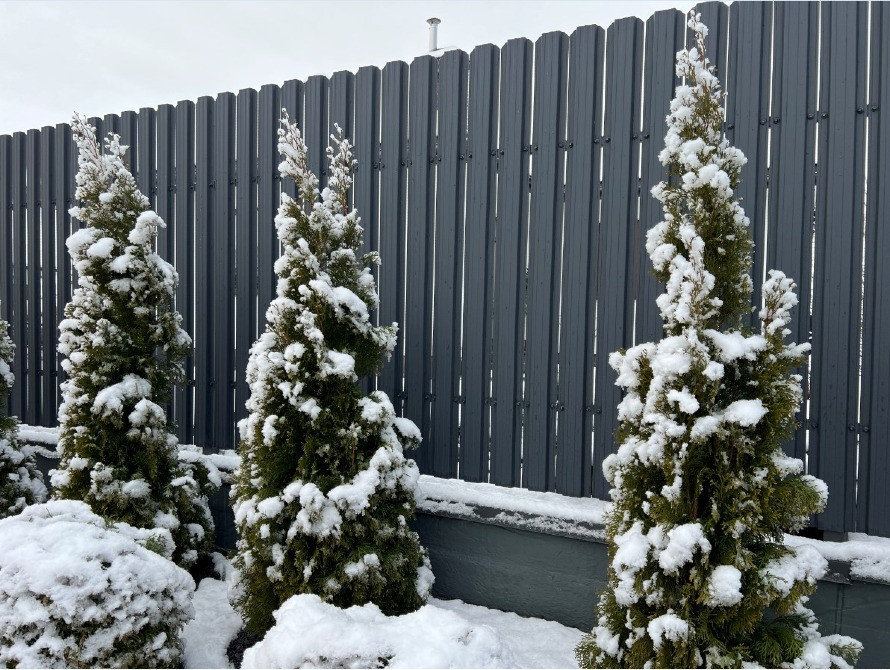 Євроштахетник металевий на паркан купити. Виготовимо під будь-яку висоту вошої огорожі.Ціна виробник Львов - изображение 7