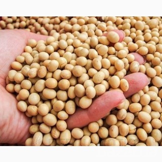 Куплю сою. Самовывоз Хмельницький - зображення 1