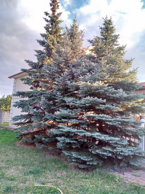 долгосрочная аренда 3-к коттедж Киев, Дарницкий, 1300 $/мес. Київ - зображення 1