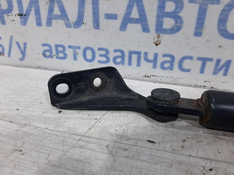 Амортизатор крышки багажника Nissan Tiida C11 1.6 БЕНЗИН HR16 2004 прав. (б/у) Київ - зображення 3