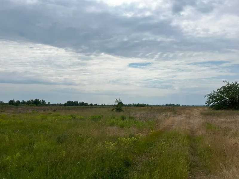 продажа земля сельскохозяйственного назначения Бориспольский, Головуров, 44800 грн.  - изображение 4