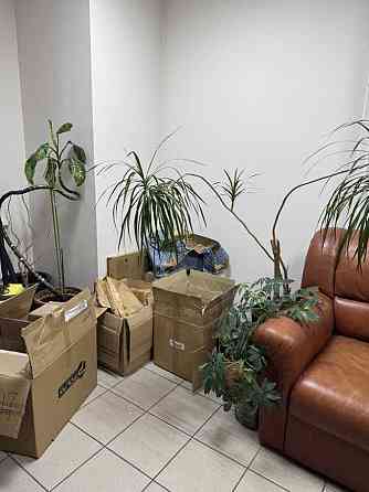 долгосрочная аренда офисное здание Киев, Оболонский, 49000 грн./мес. Киев