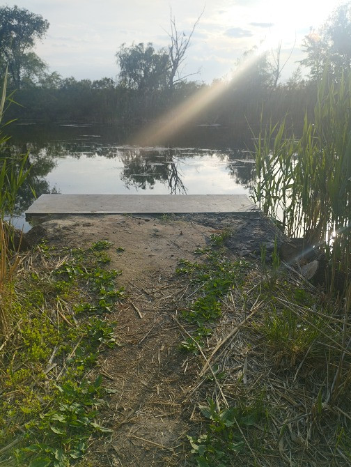 Продам дачу в Партизанском Дніпро - зображення 12