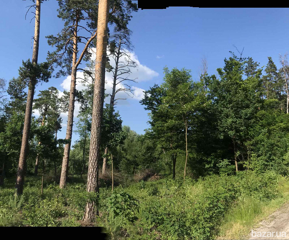 Клавдиево -Тарасово. Приватизированный участок 12 соток за 10тыс.у.е. Бородянка - изображение 1