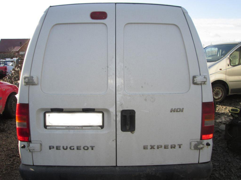 Дверь задняя Peugeot Expert 1996-2006 Ковель - зображення 1