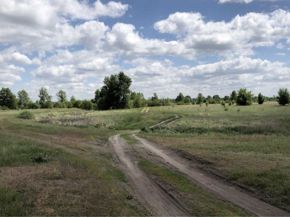 продажа участок под жилую застройку Вышгородский, Новоселки, 650000 $  - зображення 11