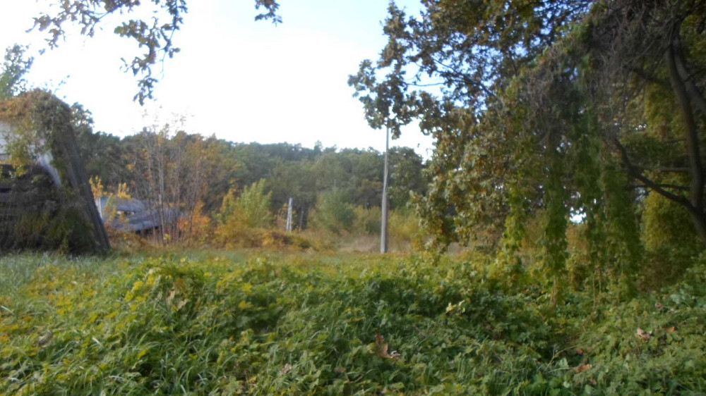 продажа земля коммерческого назначения Васильковский, Иванковичи, 110000 $  - зображення 5