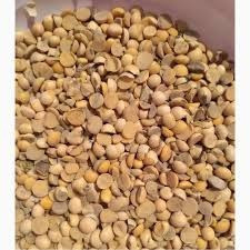 Постійно купую відходи кукурудзи, половинки сої Киев - изображение 1