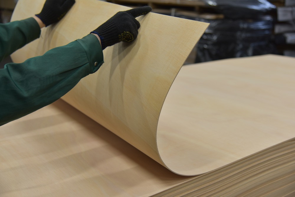 Гнучка фанера (гнутая) СЕЙБА (2,5 х 1,22 м) в наявності Киев - изображение 2