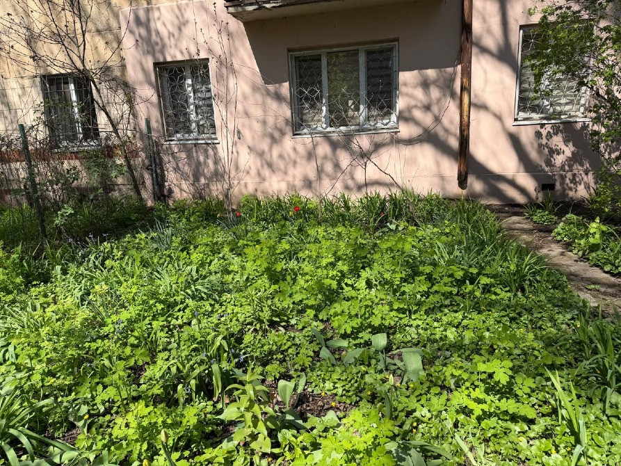 Продам двокімнатну квартиру на Черемушках вул. Філатова / Варненська Одеса - зображення 4