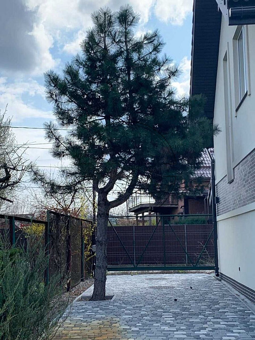 Продаж будинку 140 м2 з ремонтом, Русанівські сади. № 2211731 Київ - зображення 3