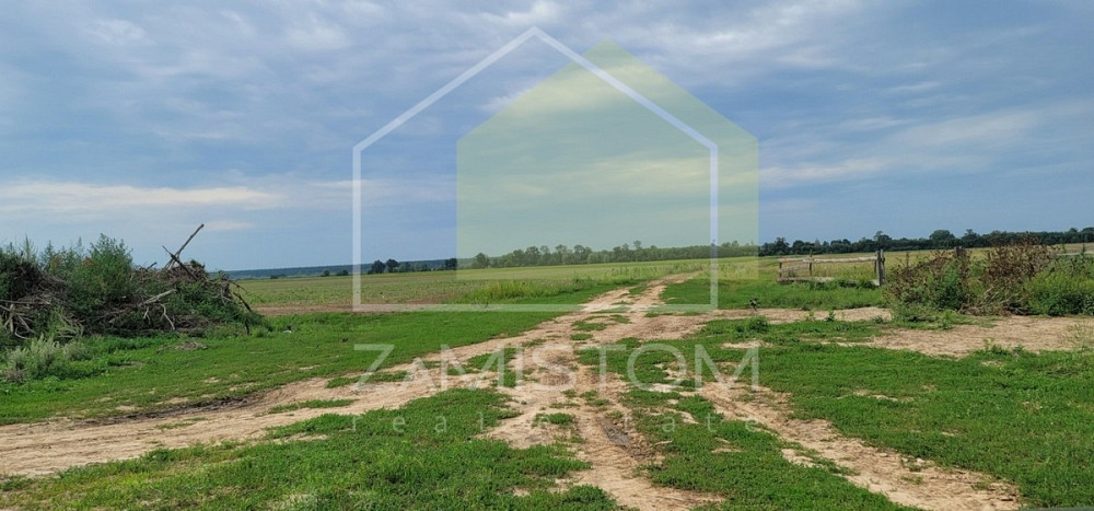 Продаж 2.5 Га земельної ділянки в Бориспольському р-н, Киевскої обл. Фасад дороги вздовж села Петроп Київ - зображення 2