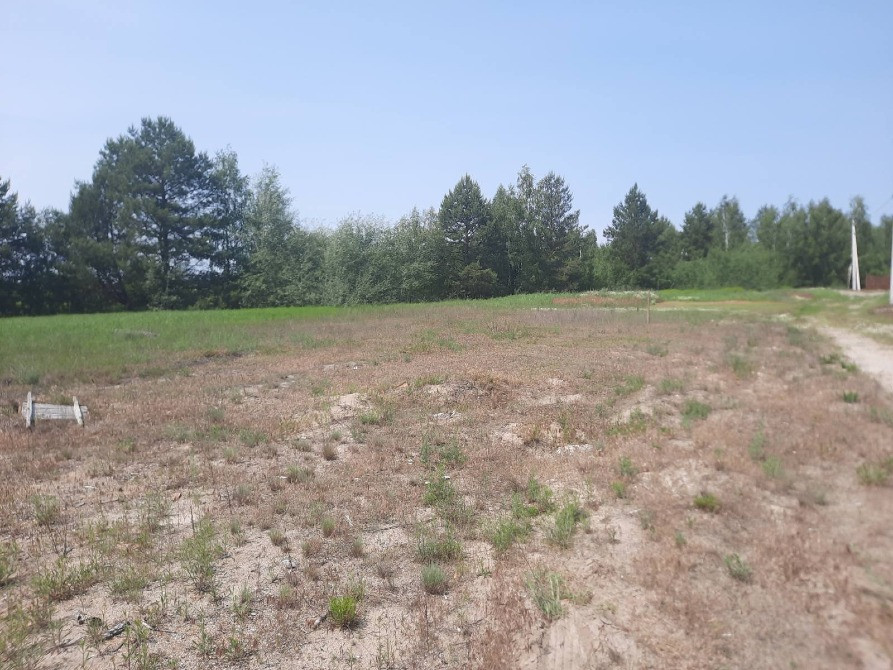 Продам земельну ділянку 9 соток у с. Нижча Дубечня Вишгород - зображення 6