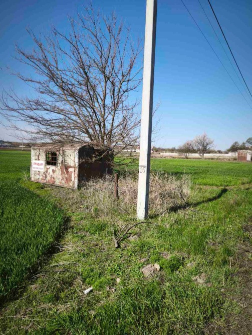 Продаж земельної ділянки в с. Томилівка (Білоцерківський район, Київська область) Пропонується до пр Біла Церква - зображення 1