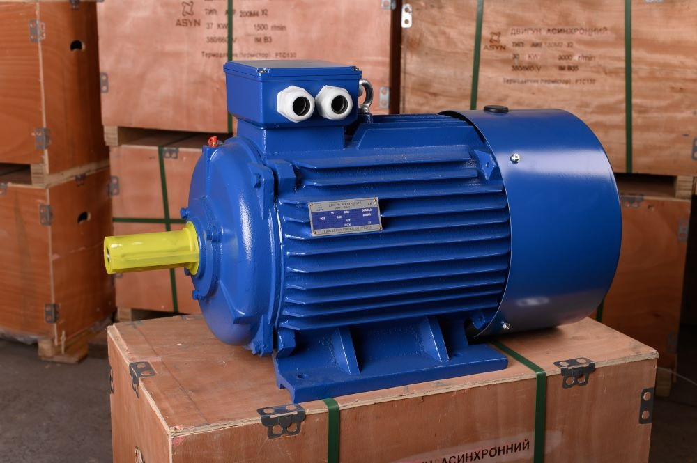 АИР200М6 електродвигун 22 кВт 1000 об/хв IM1081 Черкаси - зображення 1