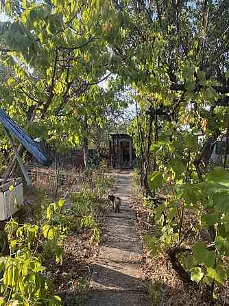 Продам дачу 6 сот, 5 кімнат, Христиновка (Хоминка) Одеська область Одеса