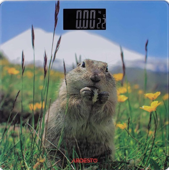 Весы напольные электронные Ardesto MATTERHORN SCB-965MATTERHORN 150 кг Киев - изображение 1