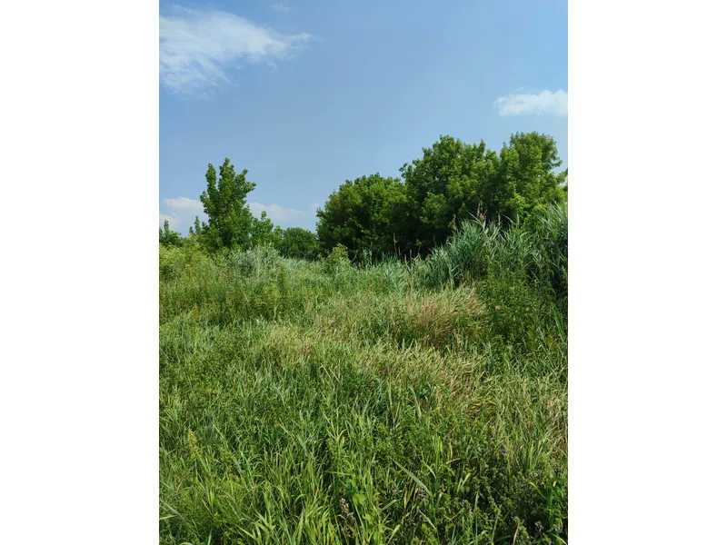 продажа земля сельскохозяйственного назначения Бородянский, Озера, 16265154 грн.  - зображення 12