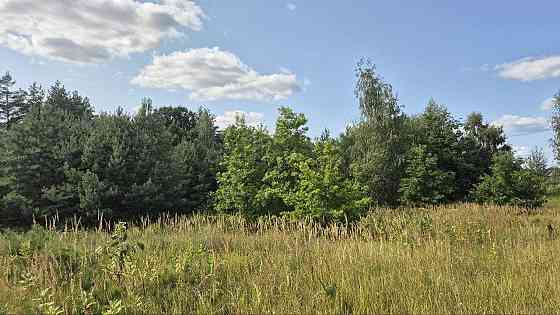 продажа участок под жилую застройку Киево-Святошинский, Музычи, 21199 $ 