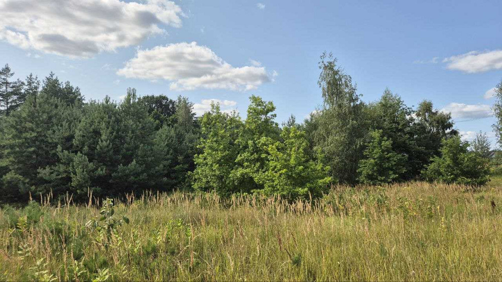 продажа участок под жилую застройку Киево-Святошинский, Музычи, 21199 $  - изображение 1