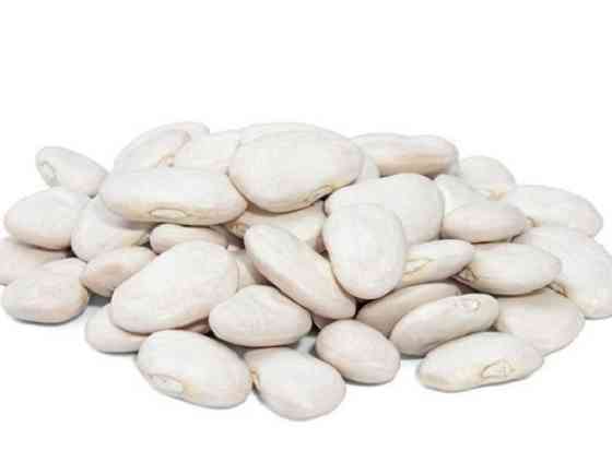 Куплю квасолю білу від 10 тонн. Чернівці