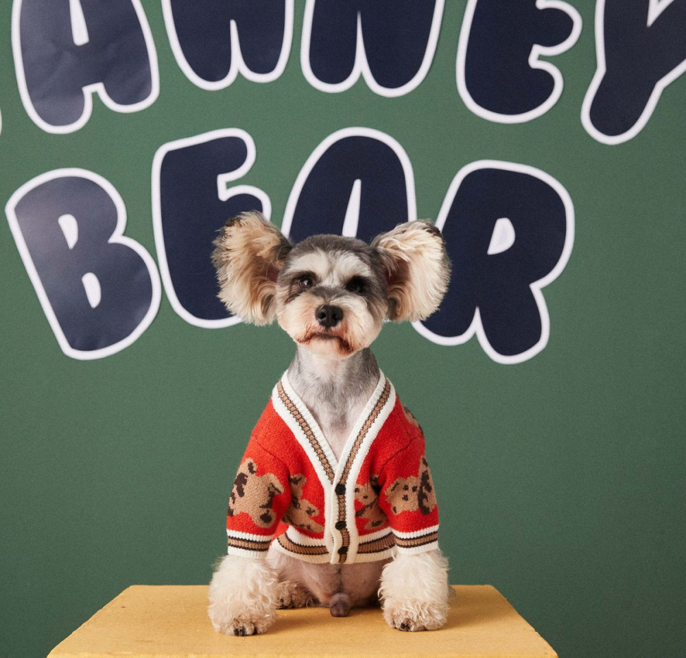 Кофта для собак 11027 M червона Київ - зображення 1