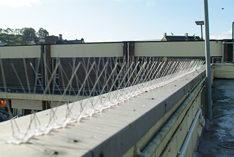 Шипы от голубей и птиц профессиональные  50 см Одесса - изображение 11