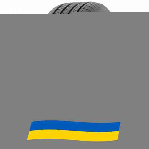 215/50 R17 Toyo Proxes C100 91W Легкова шина Київ