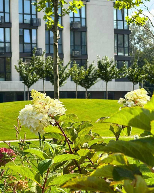 продажа 3-к квартира Киев, Подольский, 5766058 грн. Київ - зображення 6