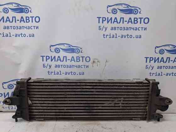 Радиатор интеркуллера Renault Trafic 2001-2014 8200411160 (Арт. 80678) Київ