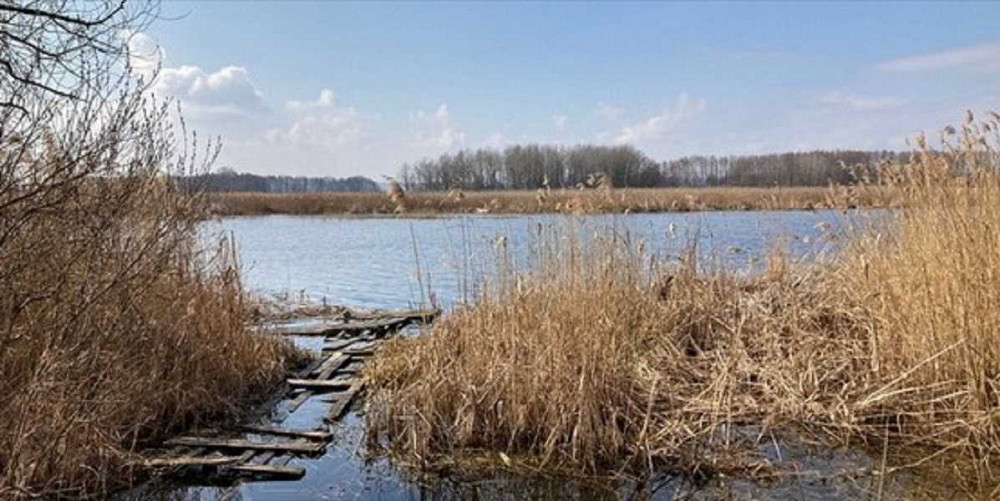 продажа земля сельскохозяйственного назначения Бориспольский, Головуров, 167300 грн.  - изображение 5