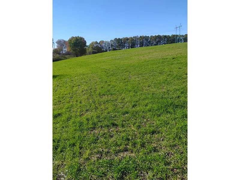 продажа земля сельскохозяйственного назначения Обуховский, Подгорцы, 240000 грн.  - изображение 2