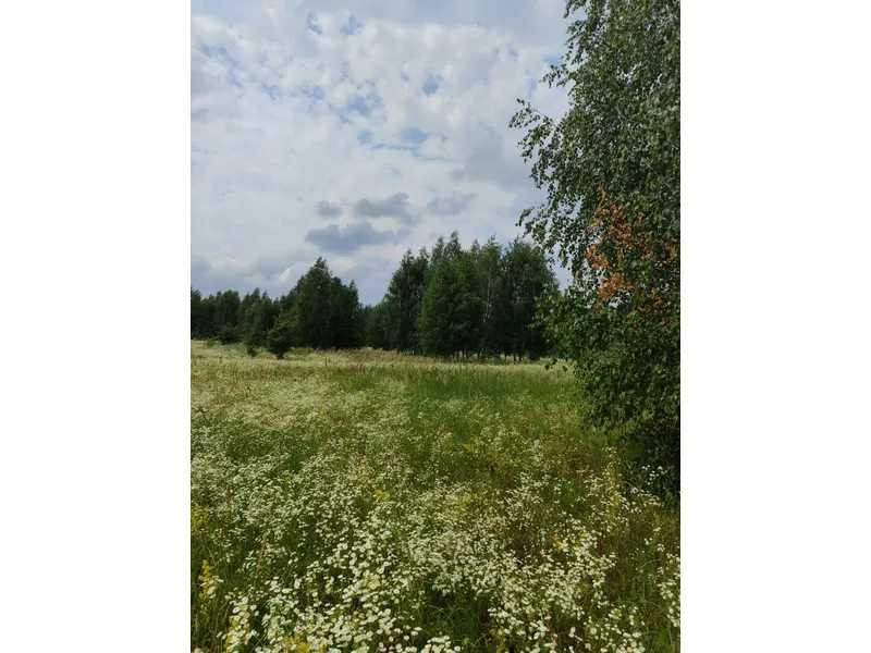 продажа земля сельскохозяйственного назначения Бородянский, Озера, 13082028 грн.  - зображення 8