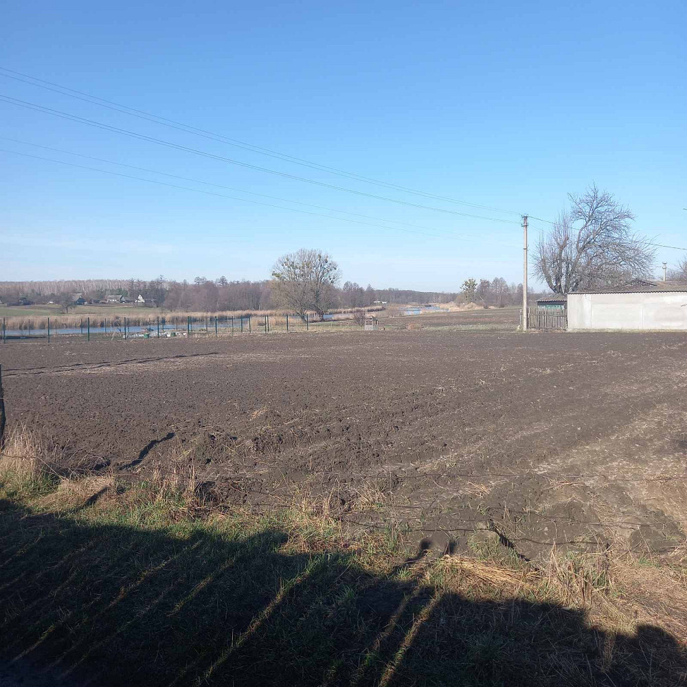 Мальовнича ділянка 15 соток Радомышль - изображение 1