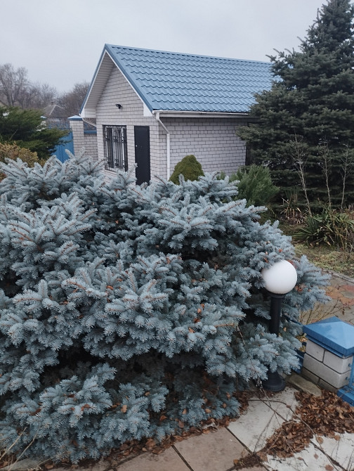 Продам дом на 230 стрелковой Дивизии Дніпро - зображення 4