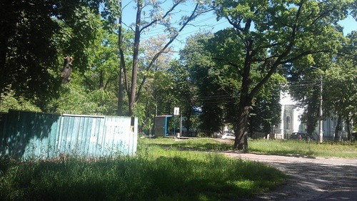 Продаж 40 сот Пуща Водиця. вул.Юнкерова Київ - зображення 8