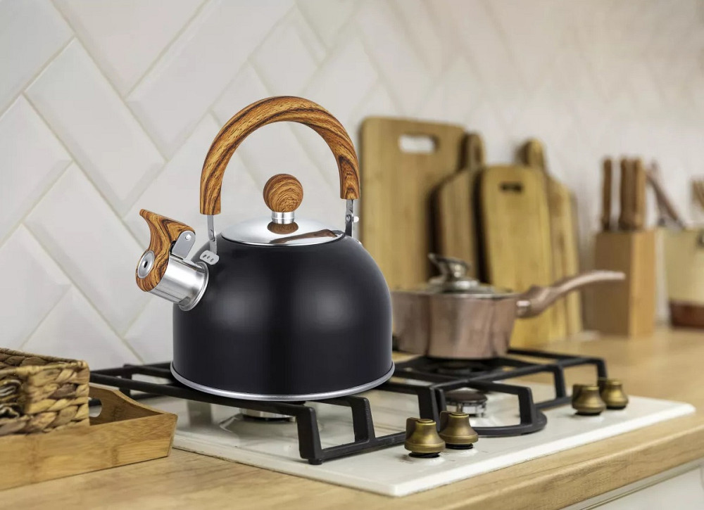 Чайник із свистком Gusto Геракл GT-1416-15 1.5 л Киев - изображение 1