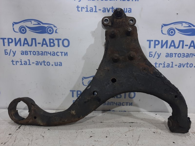 Рычаг левый Hyundai Tucson 2004-2009 545002E100 (Арт. 25482) Киев - изображение 1