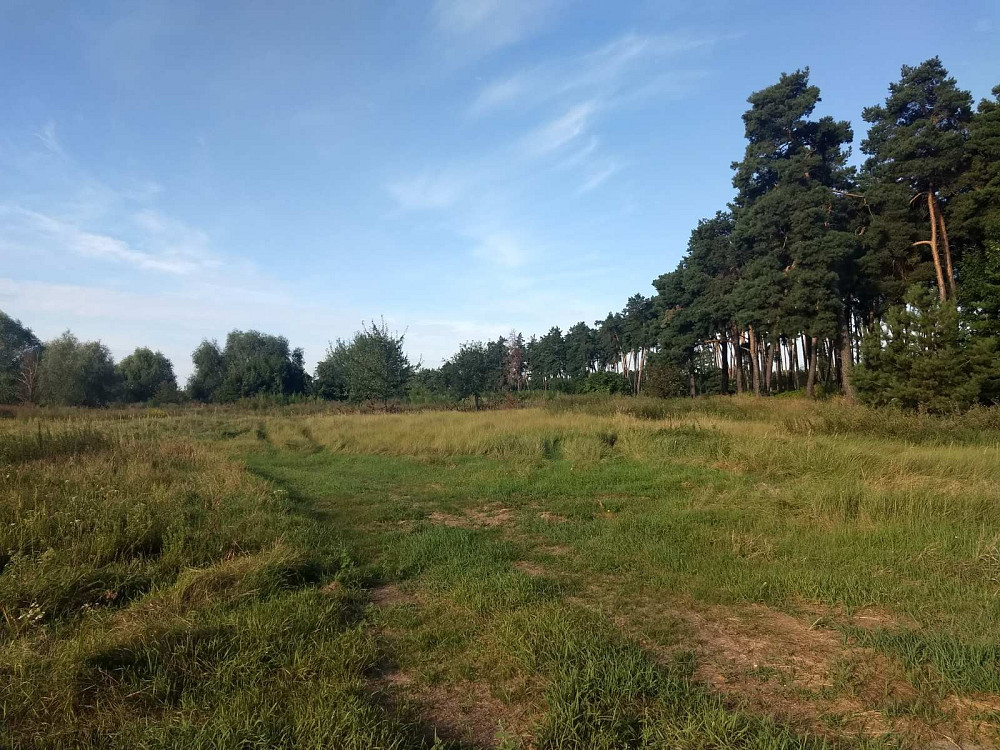 Земельна ділянка площею 0,5000 га в с. Дернівка Барышевка - изображение 5